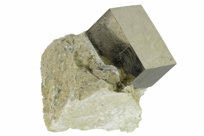 Pyrite Cube In Rock - Navajun, Spain #118237